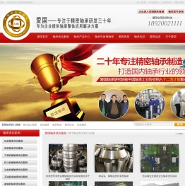 轴承优化,轴承品牌,替代进口轴承,轴承优化案例,轴承批发,瓦房店爱国轴承研究院有限公司