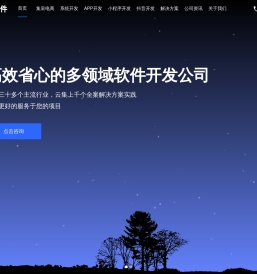 软件定制开发