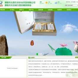 天目湖白茶