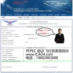 飞行翻译网站