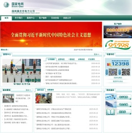 国家电网
