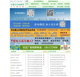花生信息网:花生价格