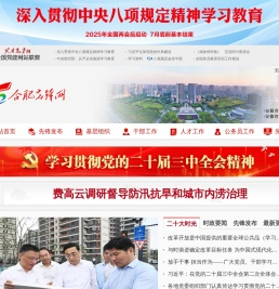 合肥先锋网