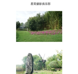 星荷摄影俱乐部