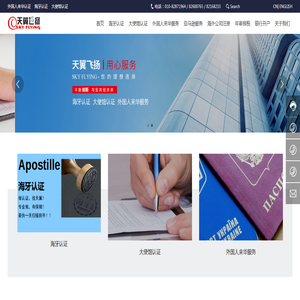 北京天翼飞扬国际商务咨询有限公司