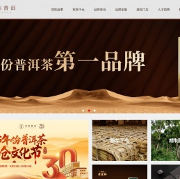 双陈普洱