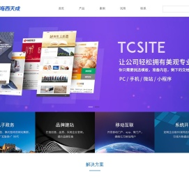 福建海西天成网络有限公司
