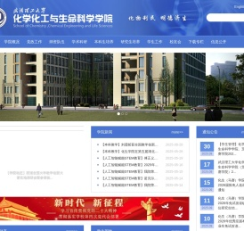 武汉理工大学化学化工与生命科学学院