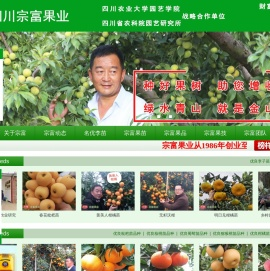 成都天府新区裴忠富果业精品开发服务部