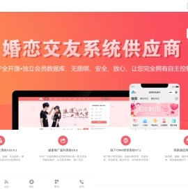 婚恋系统