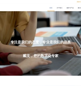 专注数字化服务16年+的服务提供商