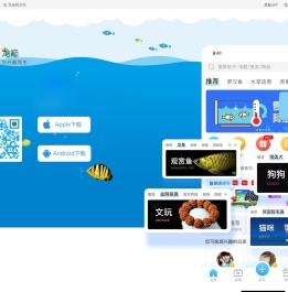 龙巅