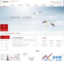 东海龙网