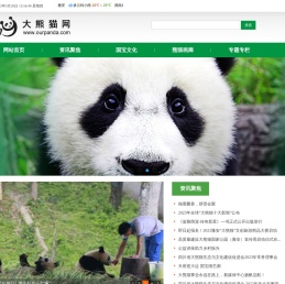 大熊猫网
