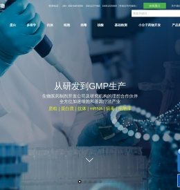 抗体研发