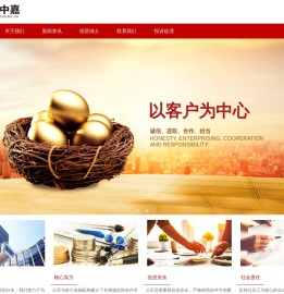 深圳市中嘉信用管理有限公司