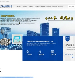 上海硕舟电子科技有限公司