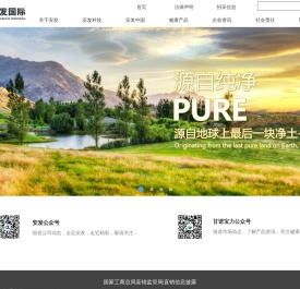 安发国际控股集团