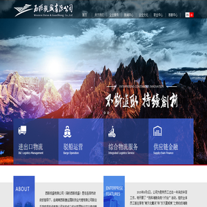 西联观盛有限公司