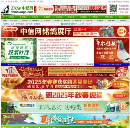 中信网