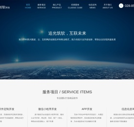 软件开发公司