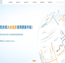 武汉光谷信息技术股份有限公司