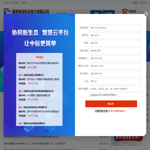 国家电投集团东北电力有限公司