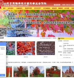 红橡树