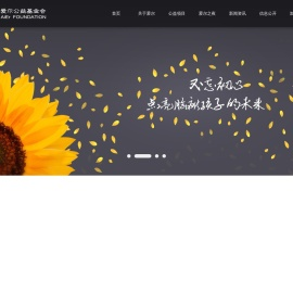 北京爱尔公益基金会