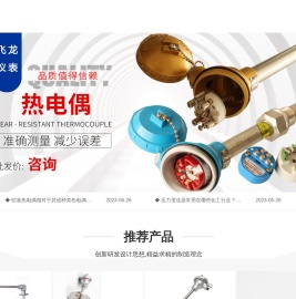 上海飞龙仪表电器有限公司