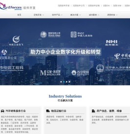 沈阳软件开发