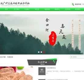 乌天麻,原生态天麻,天麻批发