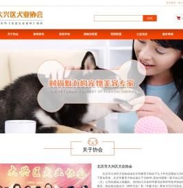 大兴宠物美容培训