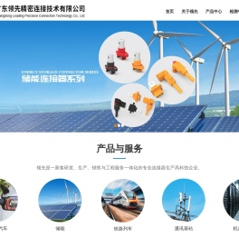 广东领先精密连接技术有限公司