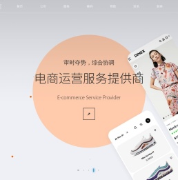 淄博网站建设