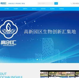 高创汇