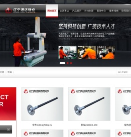 辽宁通达轴业有限公司