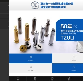 压片机模具