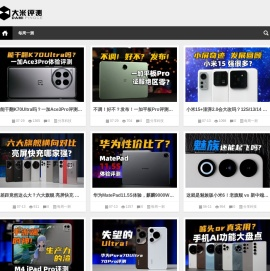 大米评测