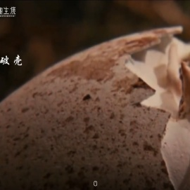 野趣生境官网