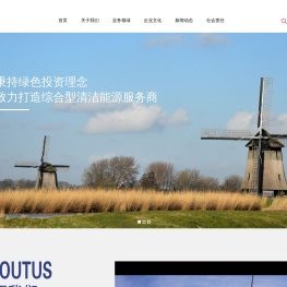山东国研电力股份有限公司