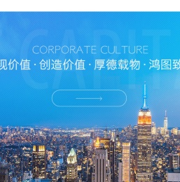 德图资本