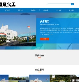 铜陵国星化工有限责任公司