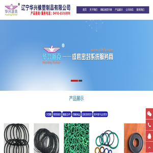 齿轮泵密封件,双向泵马达密封件,辽宁华兴橡塑制品有限公司