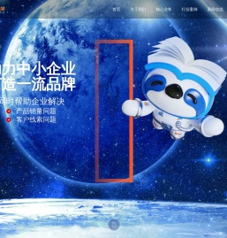 青岛新思维网络