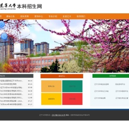 辽宁大学本科招生网