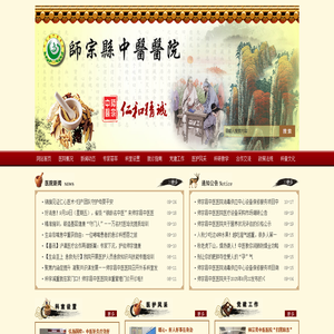 师宗县中医医院官方网站