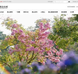 深圳南山网