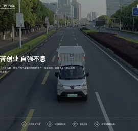 广西汽车集团有限公司