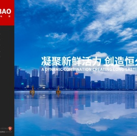 浙江星宝电器有限公司